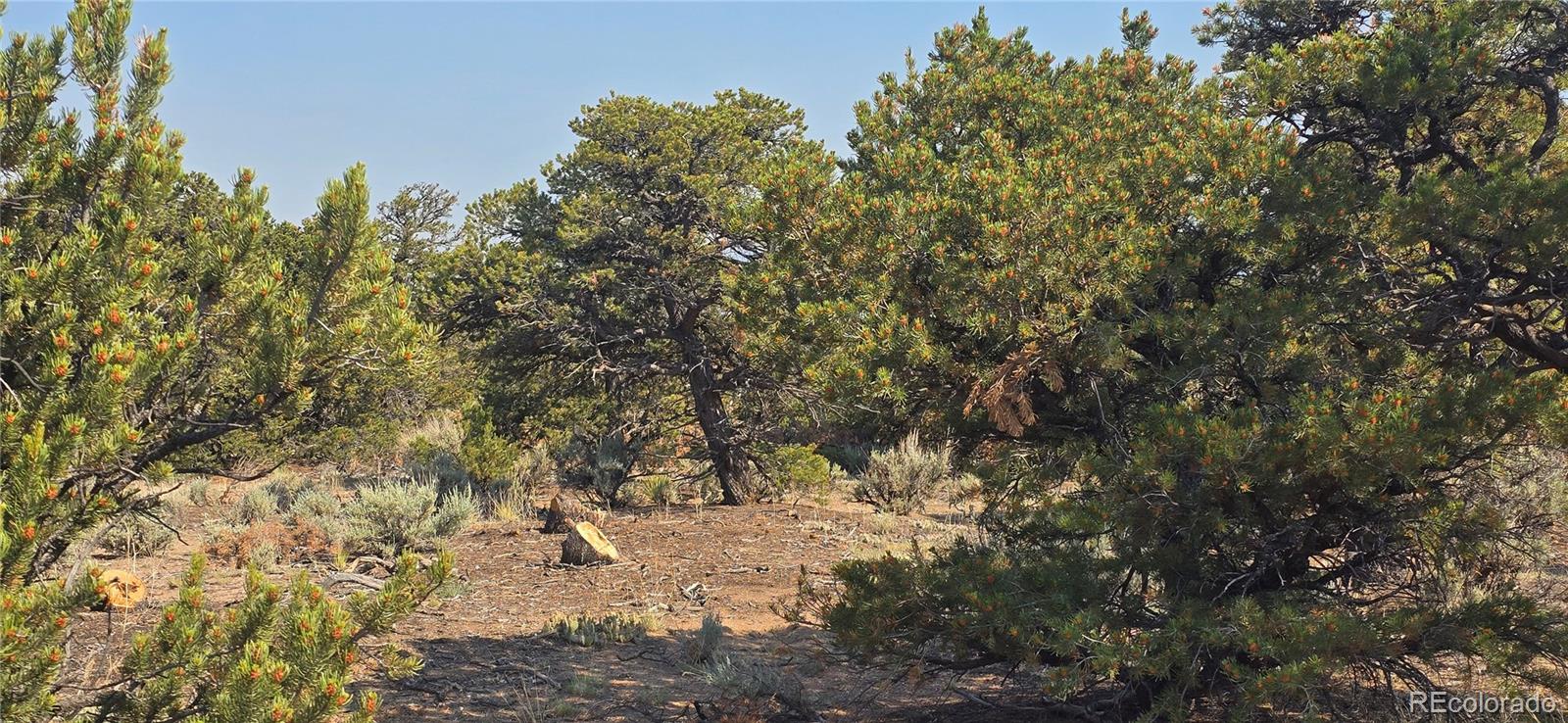 Lot 1659 Slegers Circle
