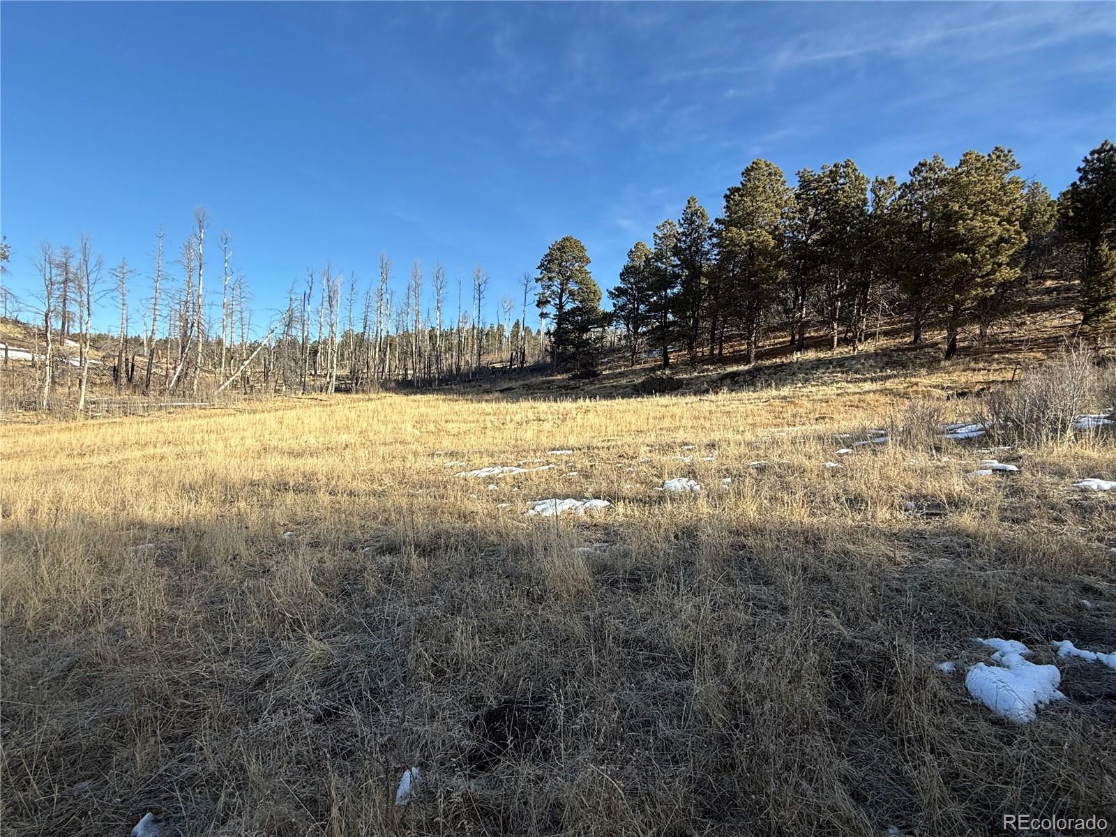 Lot 356 Spangle Drive