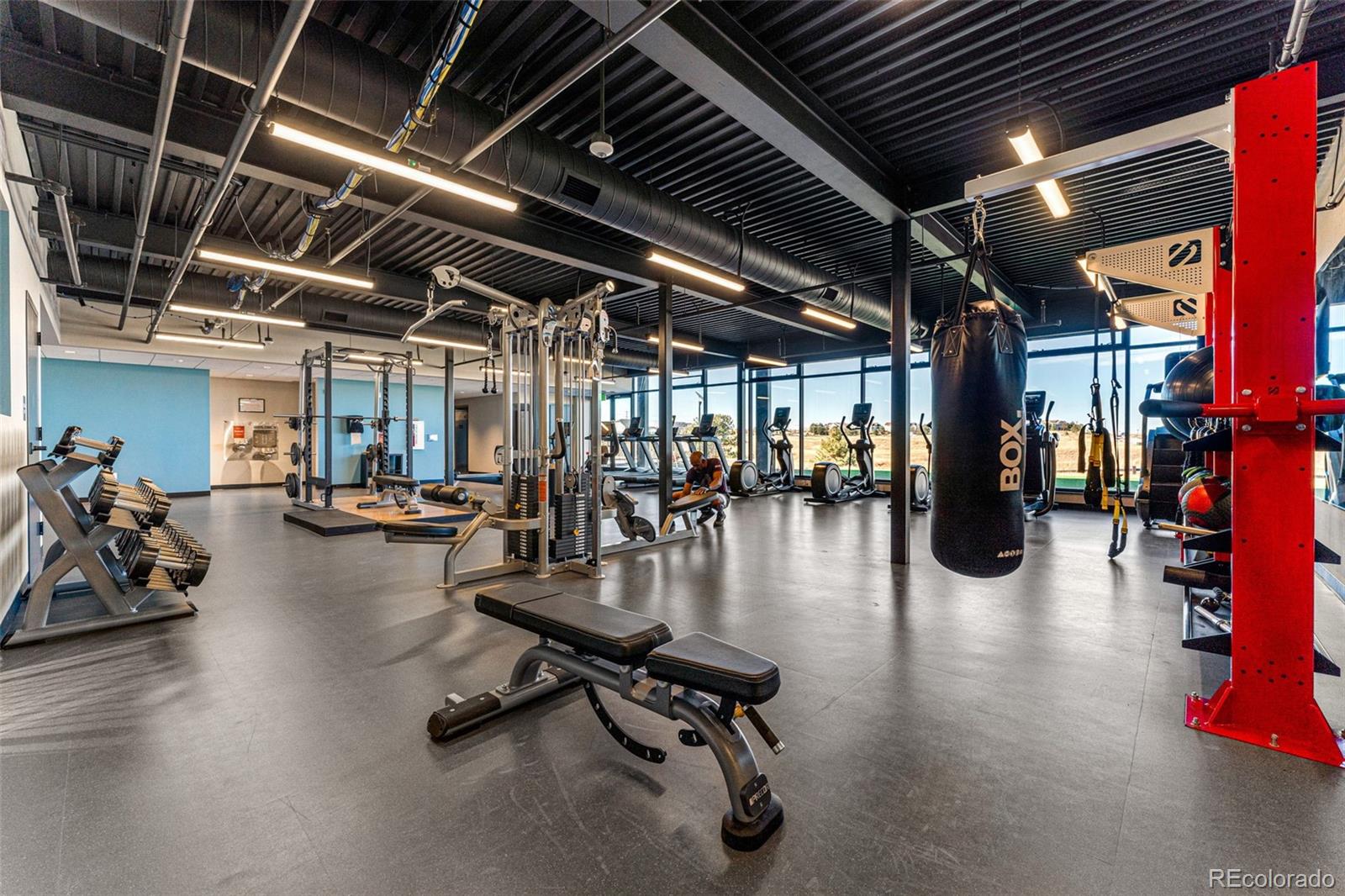 8944 Whiteclover Street