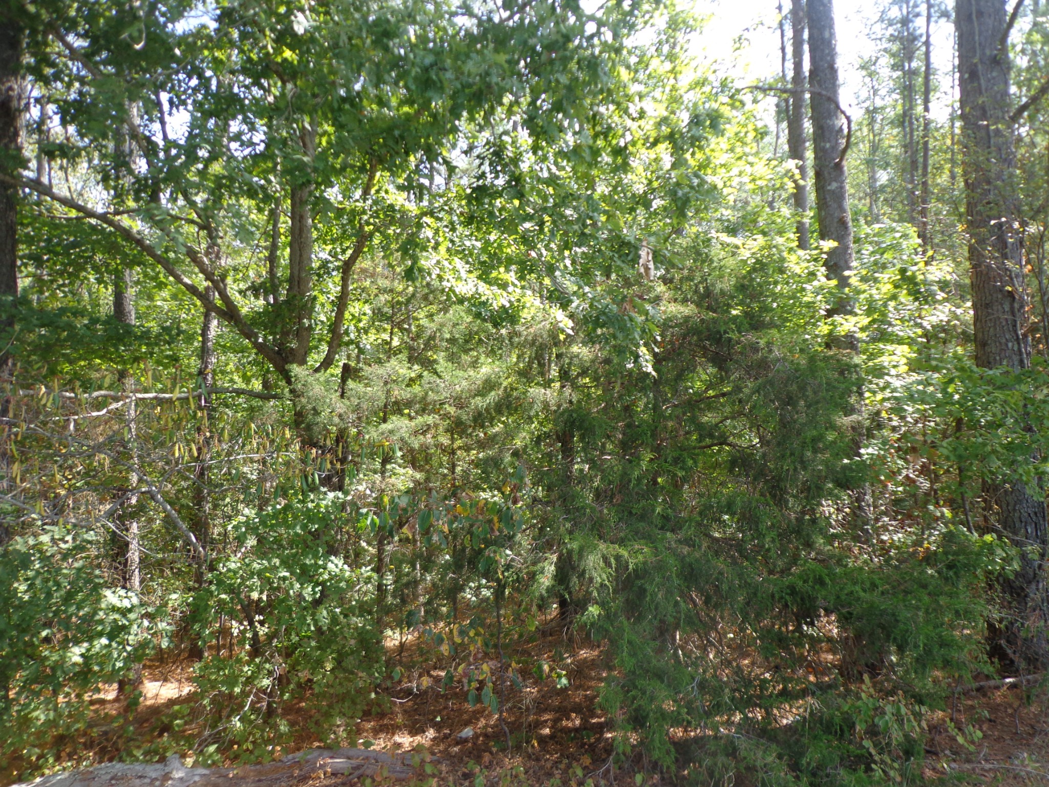 0 Tennessee Ridge Road