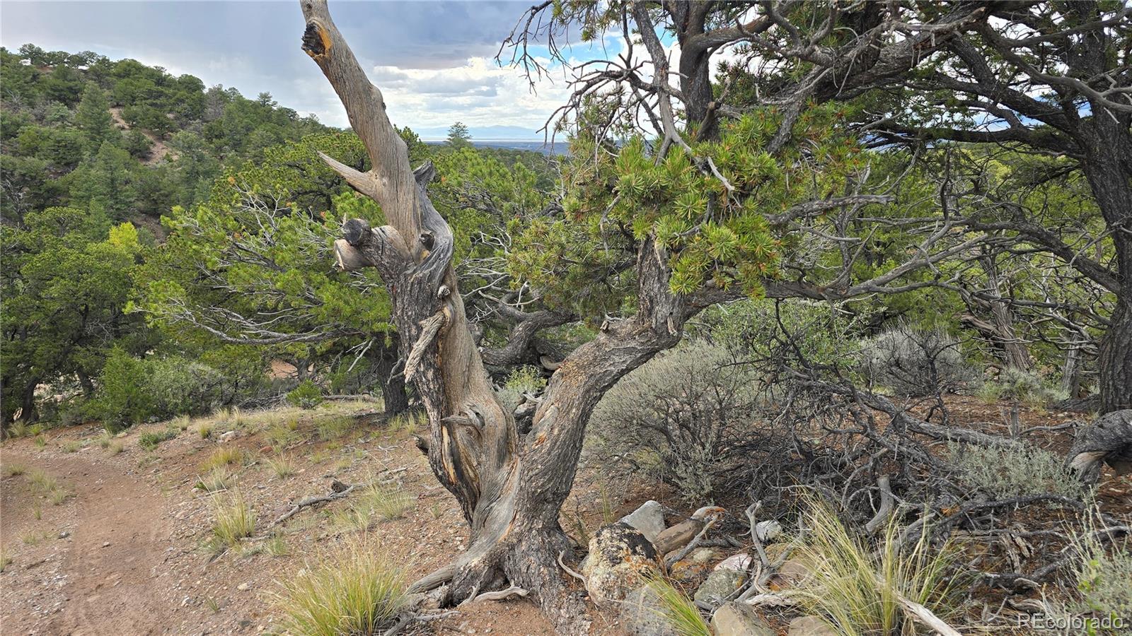 Lot 4024 Heritage Road