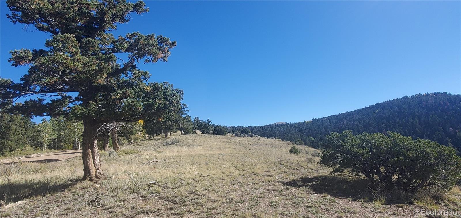 Lot 5821 Covington Road