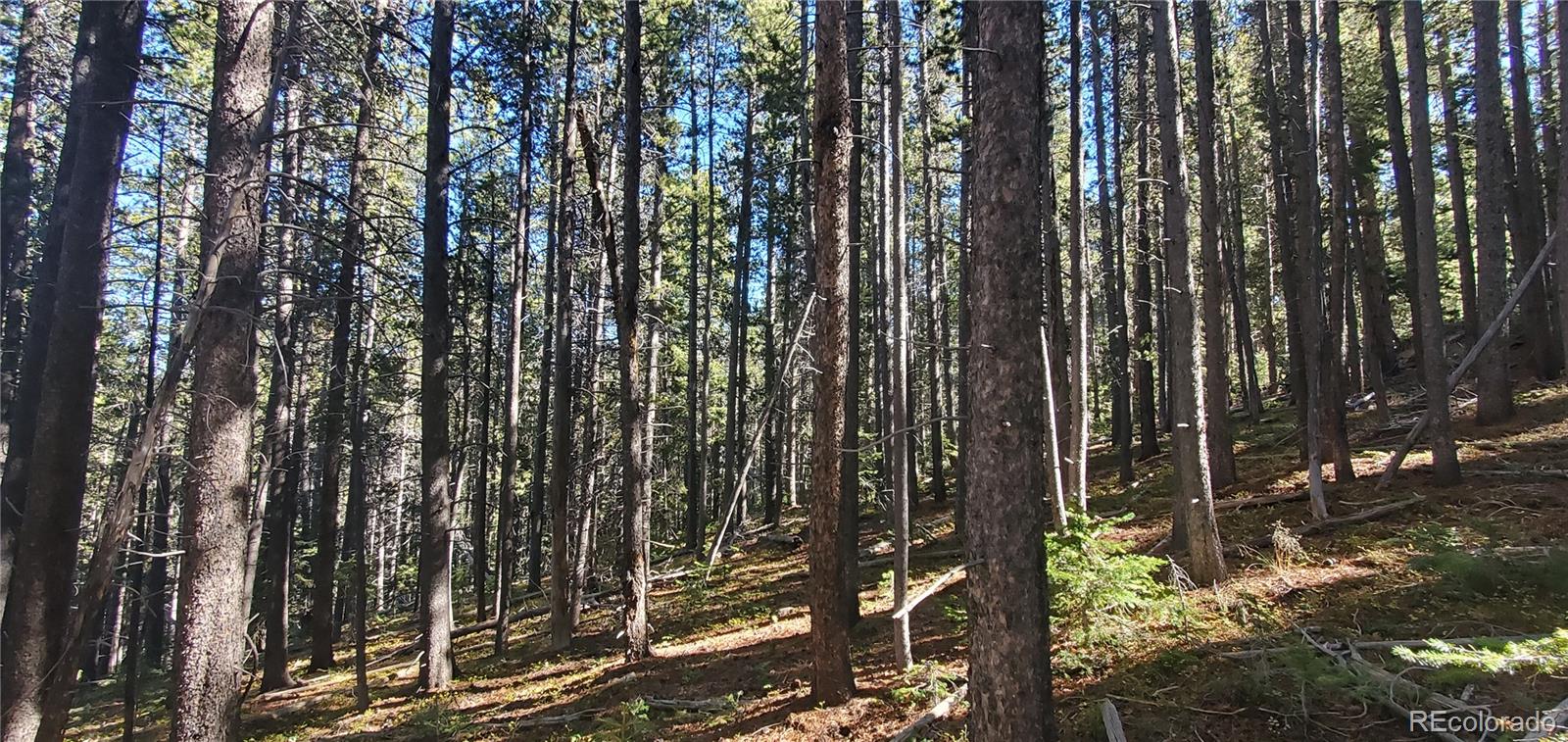 Lot 2999 & 2998 Drexler Place