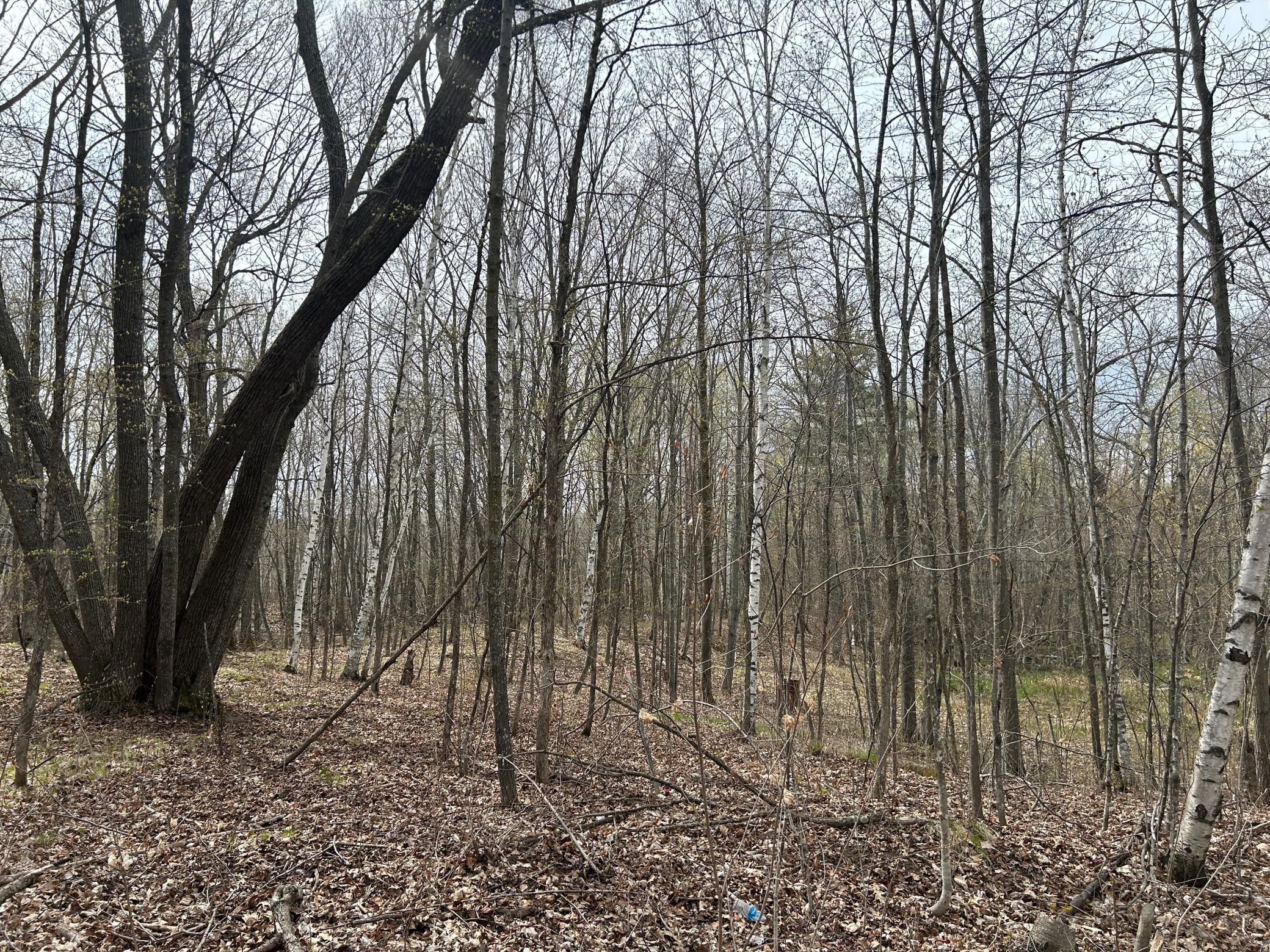 TBD Meander Way