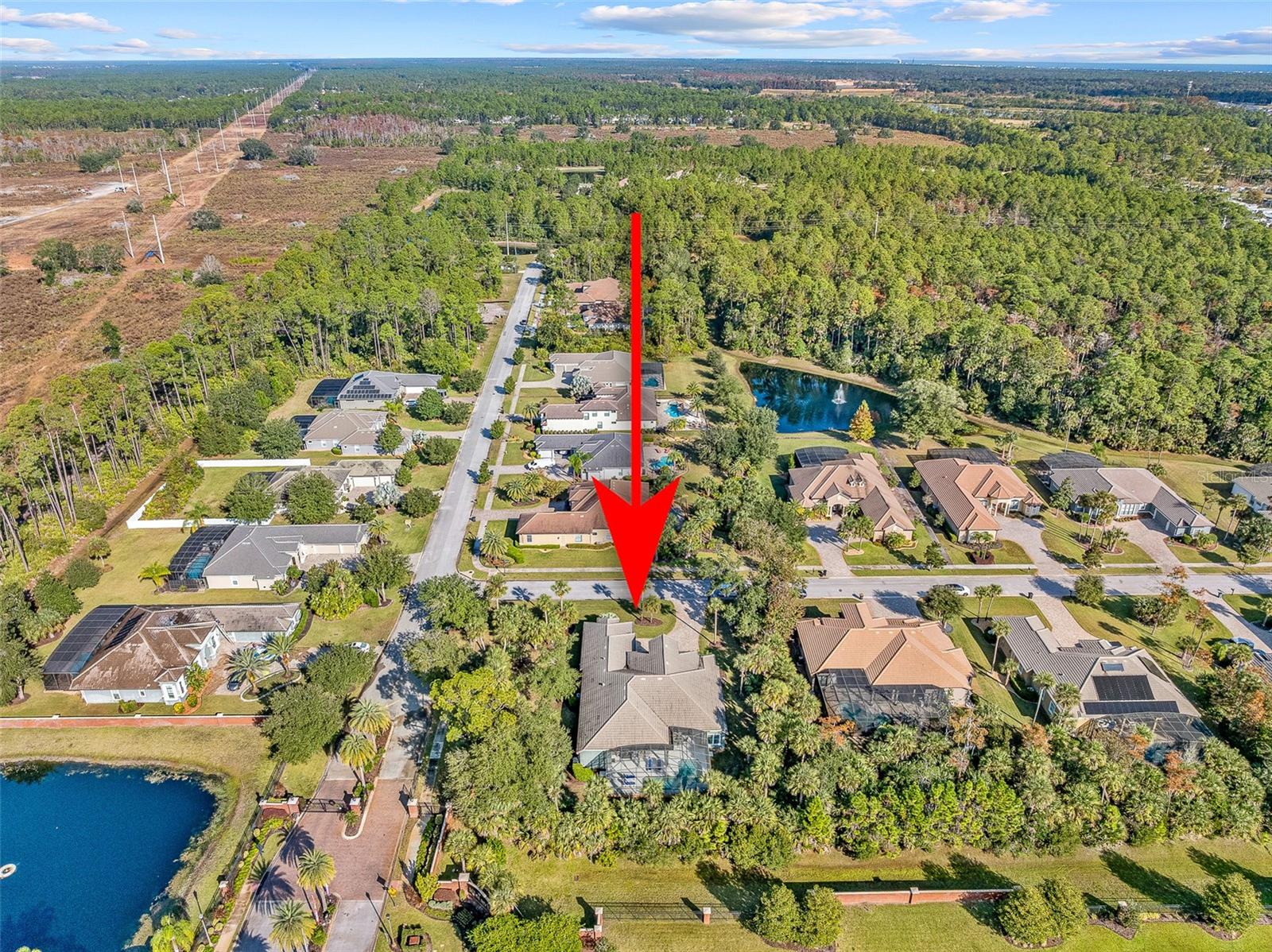 2 Humming Bird Circle