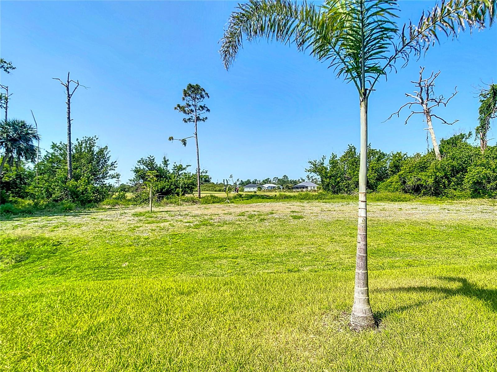 16 Pine Valley Court