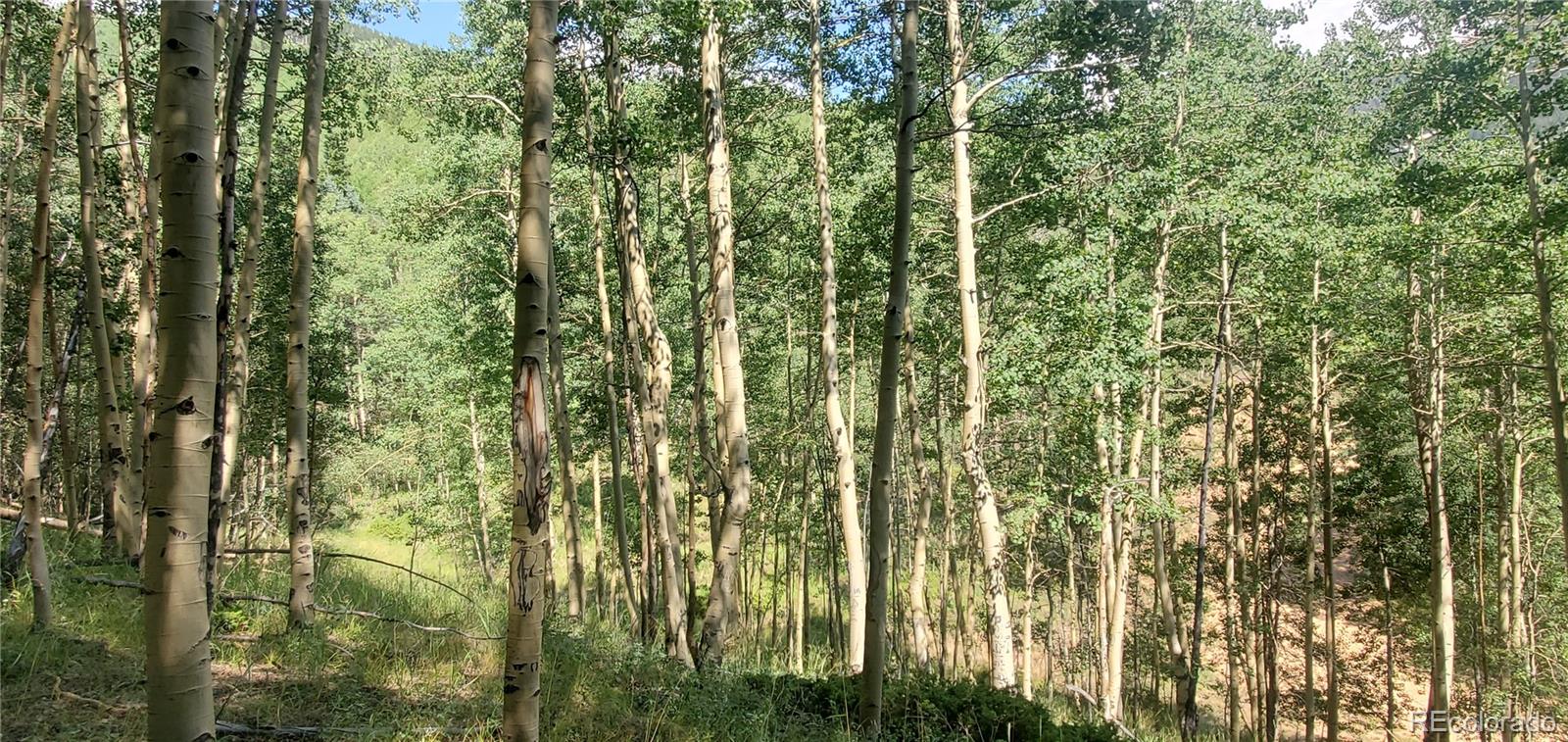 Lot 6882 Donna Road