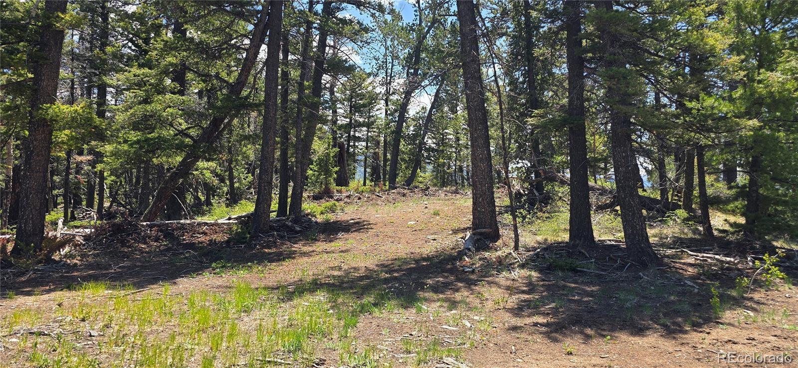 Lot 5546 Balleroy Road