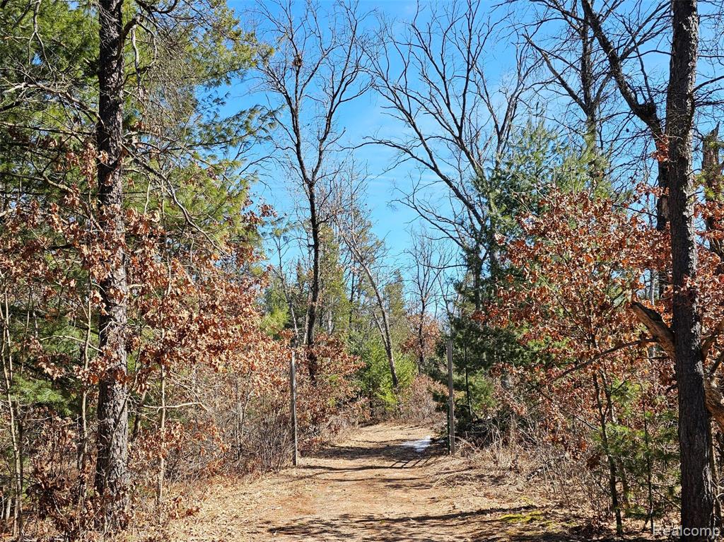 Prescott/Mills Twp.-The Elwood Ranch! 29.41 acres near West Branch, Skidway Lake & the Au Sable River. Conveniently off I-75. A couple hours drive North of Metro-Detroit. There is a well on the property that is included. The Screen porch, out-house, (2) two sheds & (1) covered RV parking all stay. Most of the property is wooded. There are AWESOME trails for four wheeling. Great for hunting & a its a perfect get away. **Property is watched heavily by neighbors (great people who watch out for each other). DO NOT WANDER ON THE PROPERTY WITHOUT NOTICE. Trespassers will me met promptly** A licensed agent must accompany buyers. #SeeitLikeitBuyit #ListitSellitMoveon #REMAX