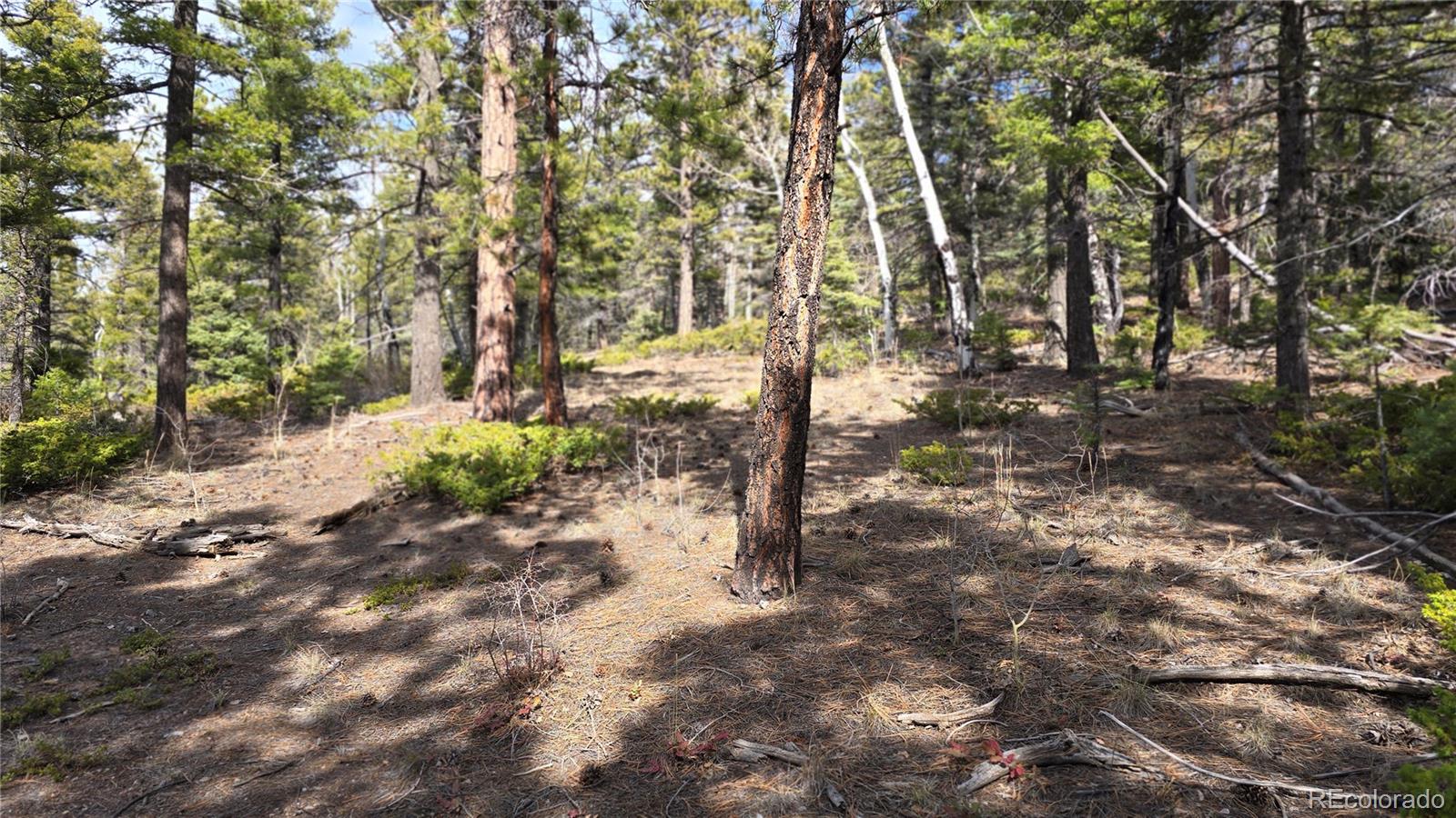 Lot 6070 Vreeland Road