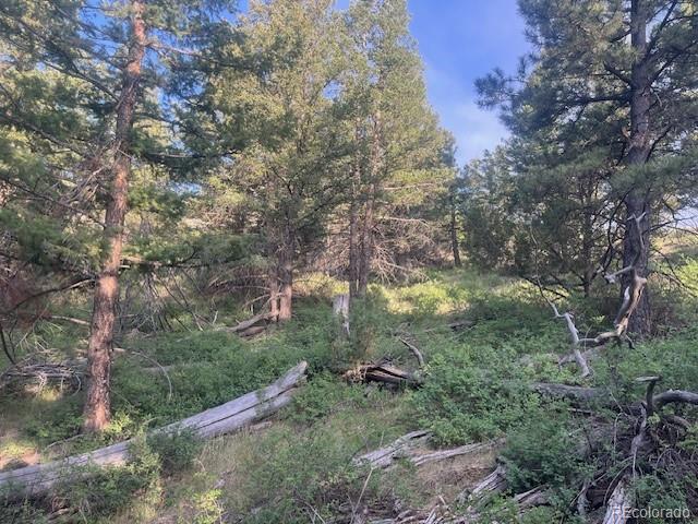 Lot 4630 Spring Road