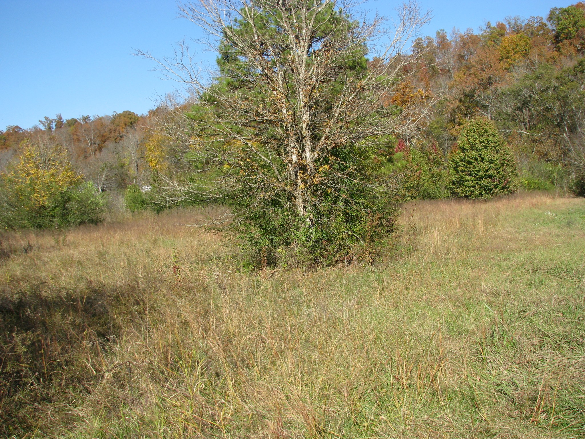 199 Spann Loop