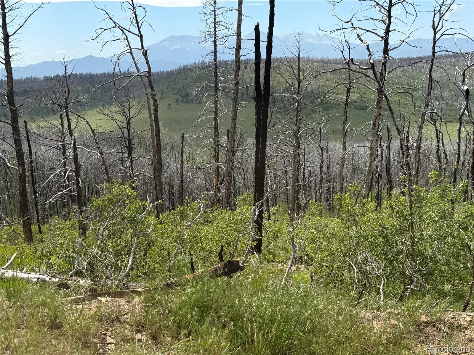 Lot 428 Powers Road