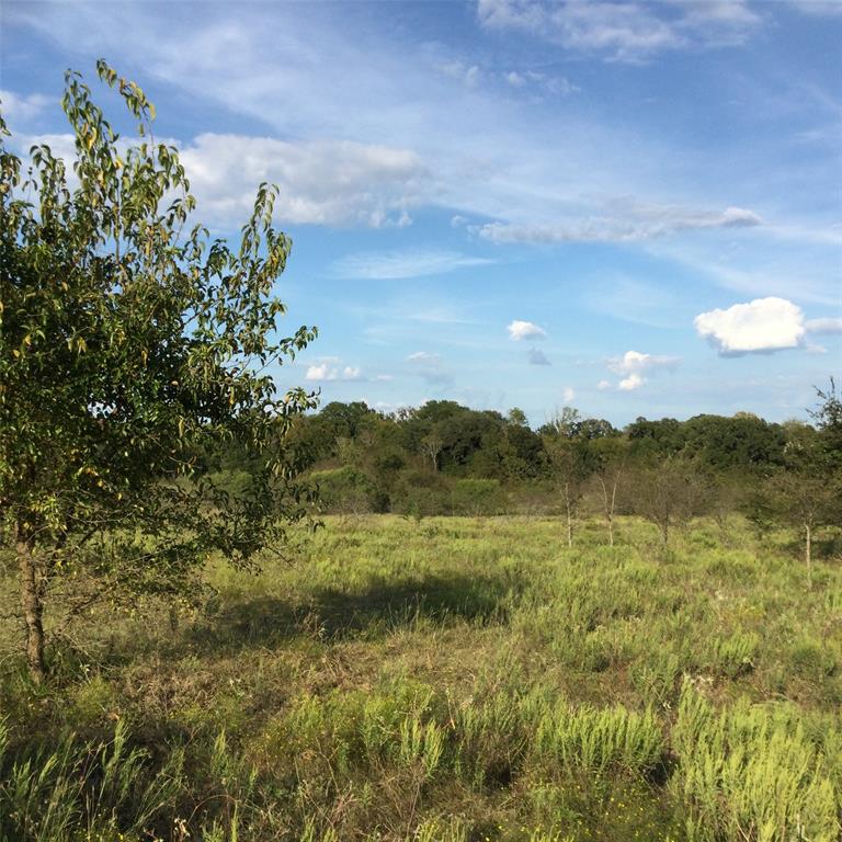 40 Acres NE County Road 2160 0