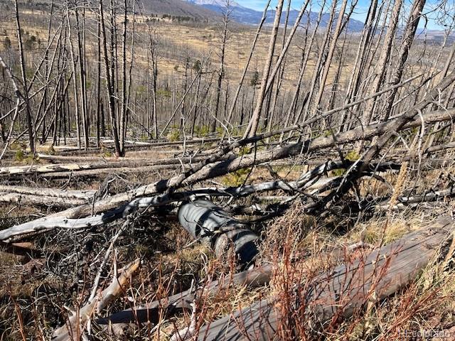 Lot 1741 Mathlide Place