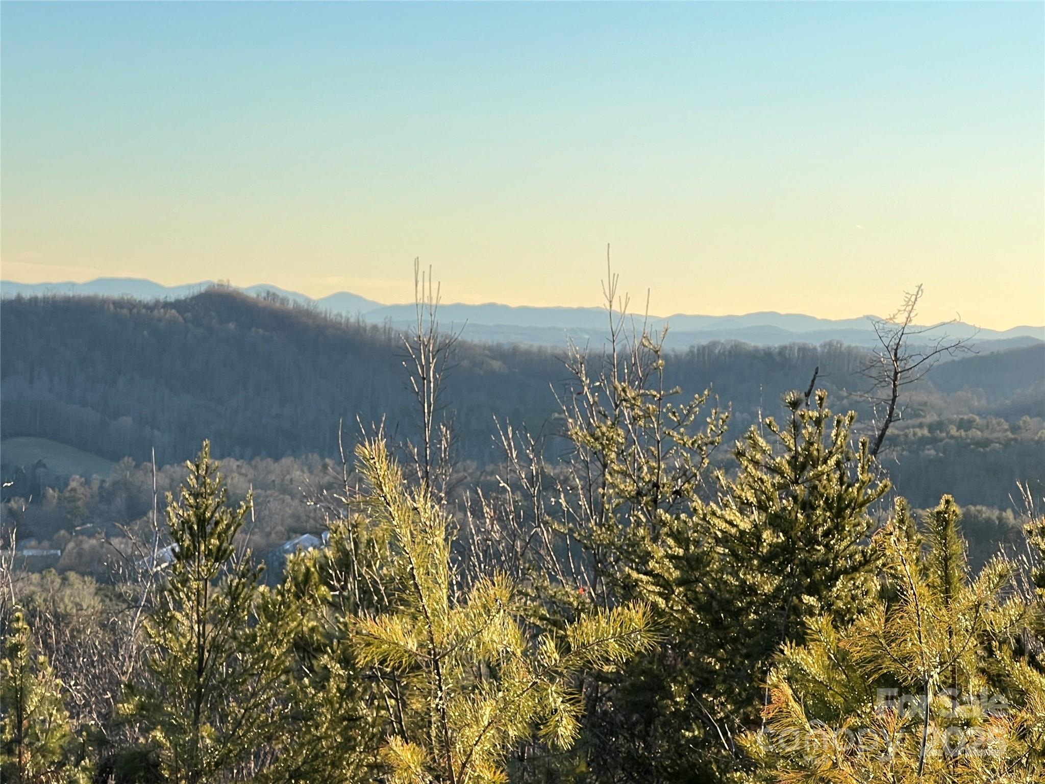 TR 14 Blackberry Ridge