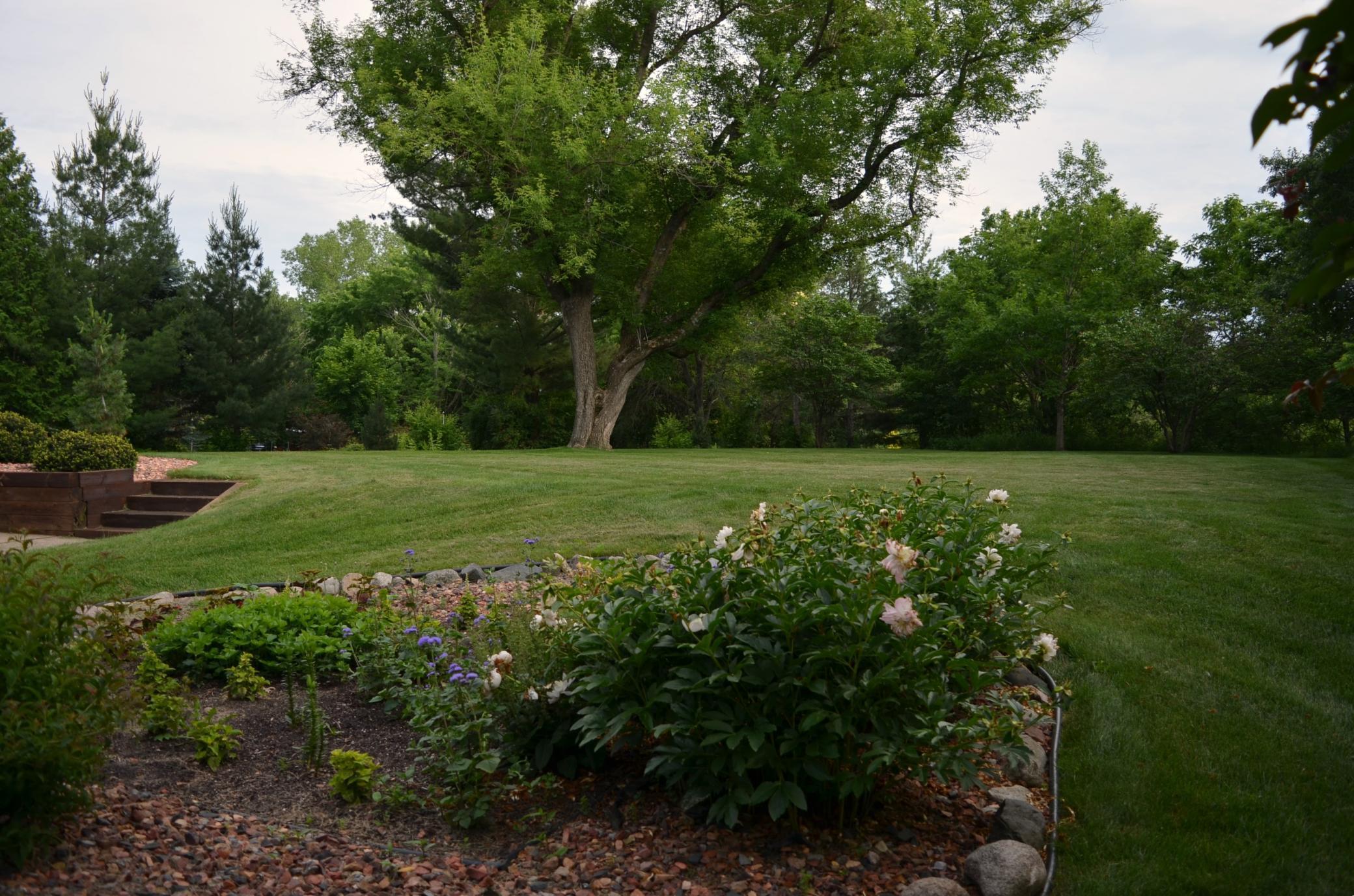 4336 Lookout Lane