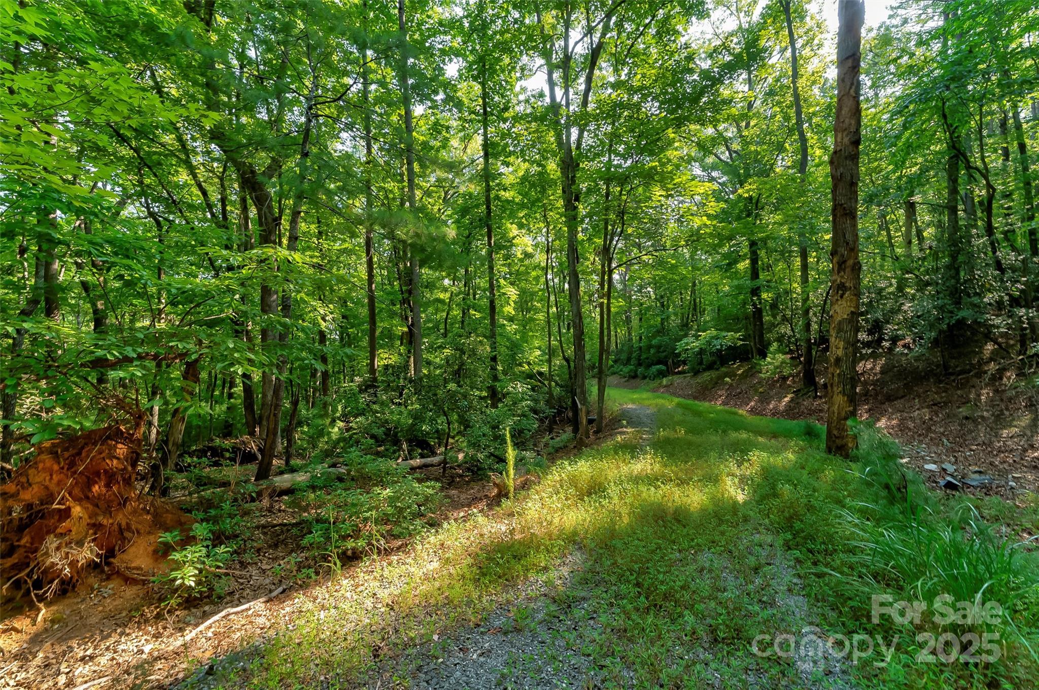 167 Cabin Bluff Drive 5&6