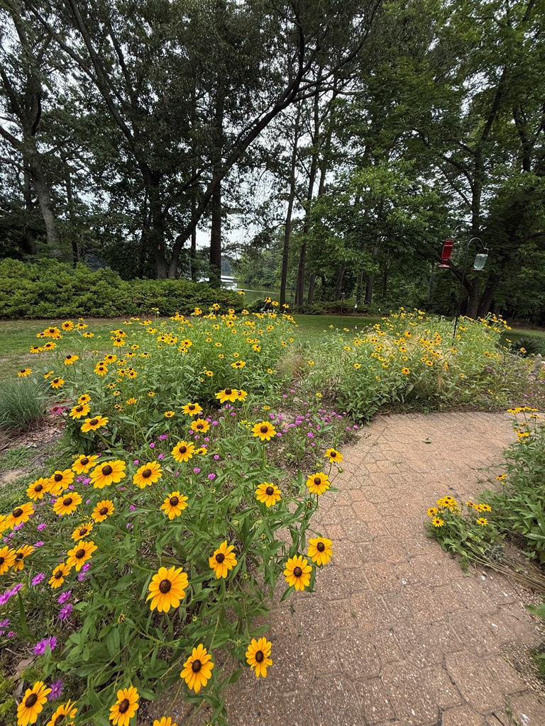 2483 Pond Drain Dr 13