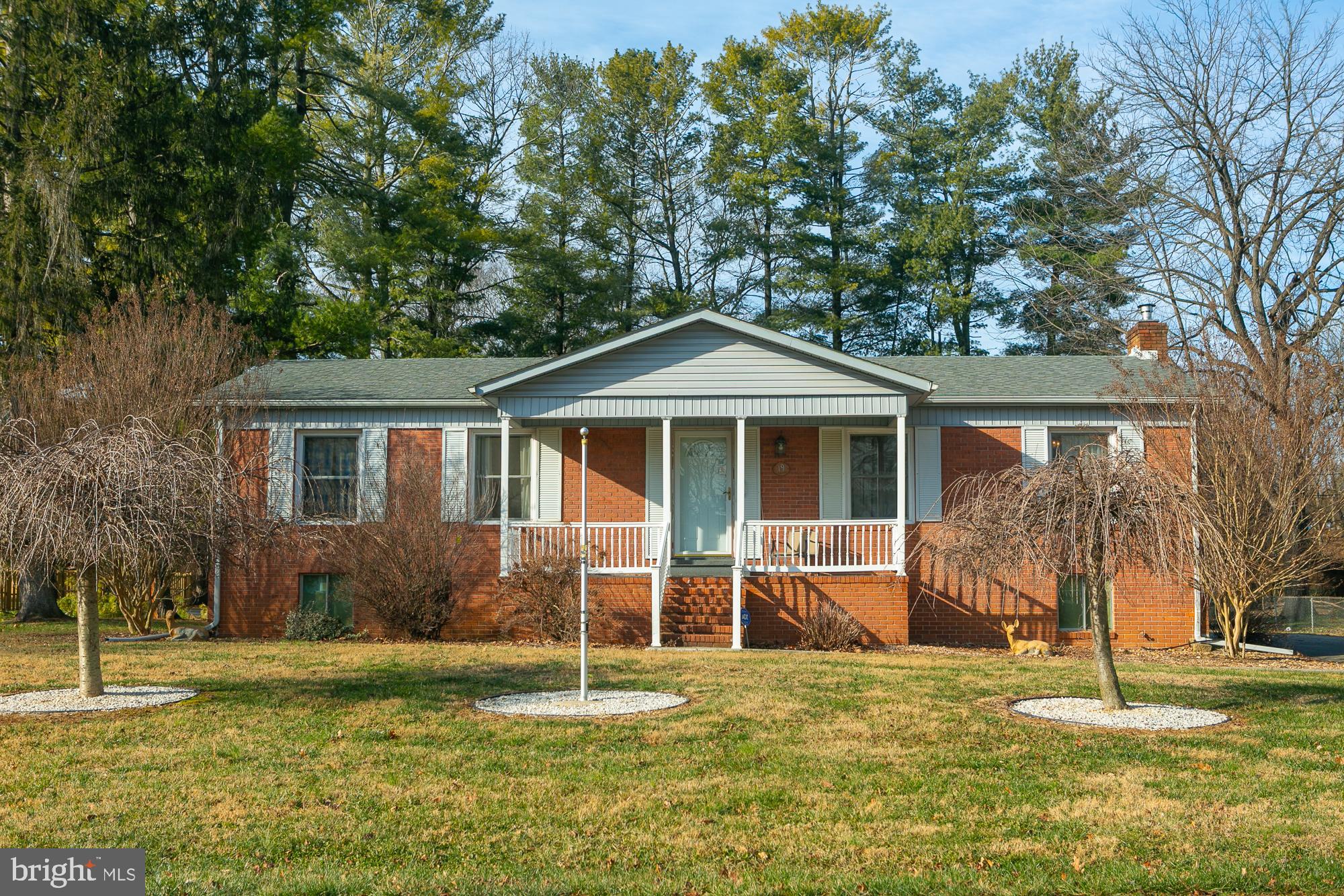 19 Cardinal Dr  
