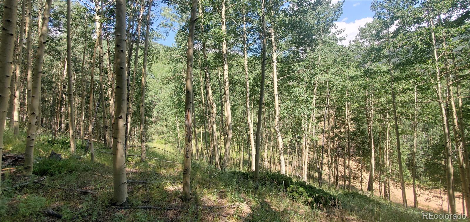 Lot 6882 Donna Road