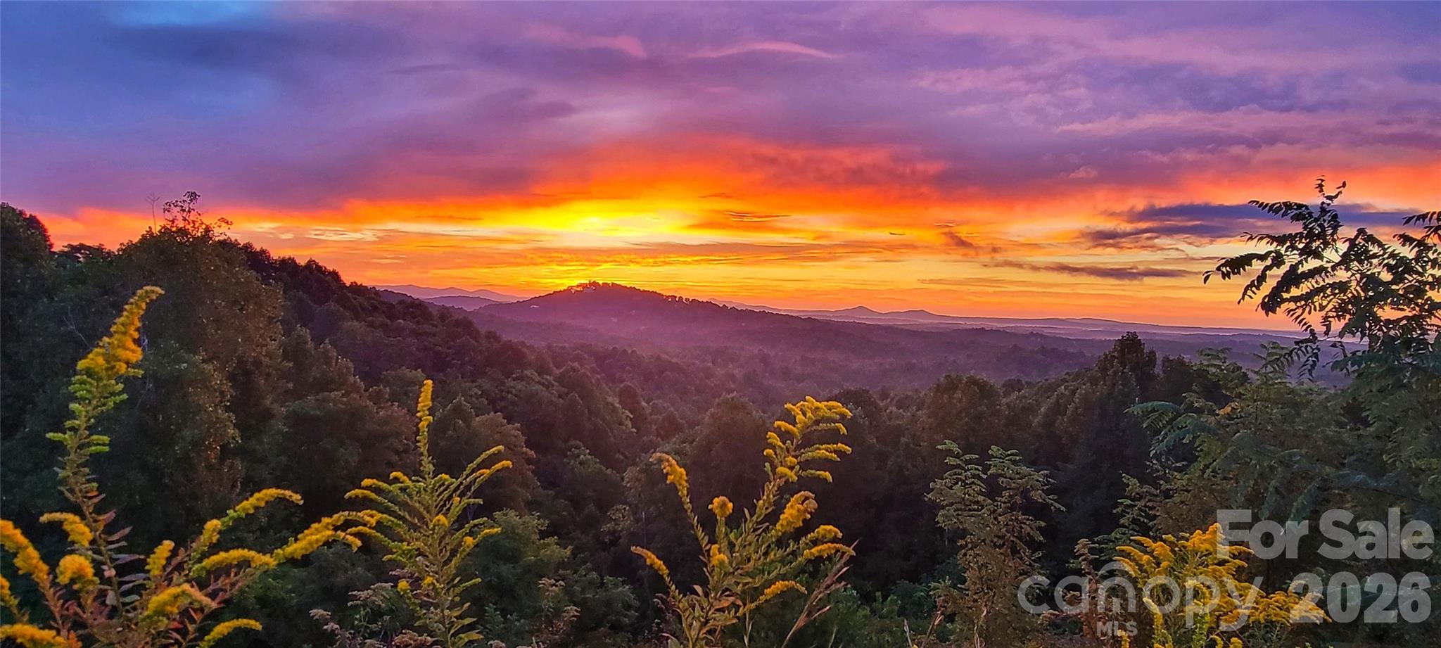 Lot 104 Johns Ridge Parkway 104