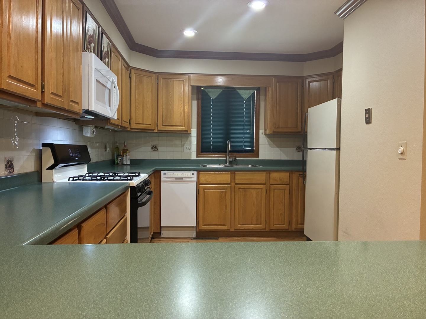 503 Donegal Drive