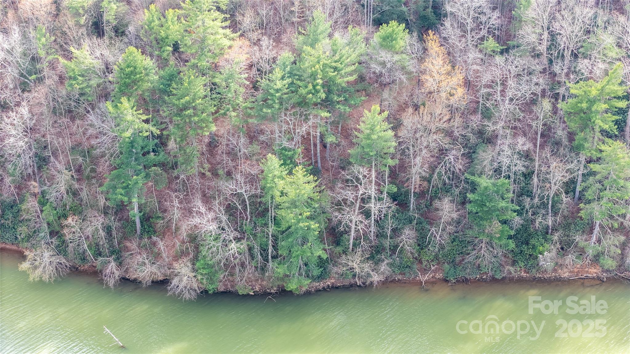 Waterfront on 12 plus acres. Lake living with plenty of space and privacy. Flat building site on this property with mountain and lake views. Dock able lot for all your boating activities. There are only 5 lots in this gated community, with city water  and foothills broadband service. This property is just minutes to dinning and shopping. The new lakeside park with walking and biking trails is just around the corner. Appointment required.