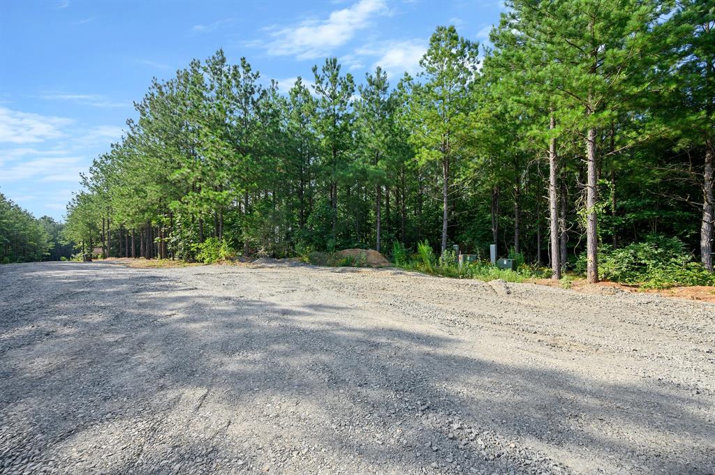 66 Aged Acacia Trail