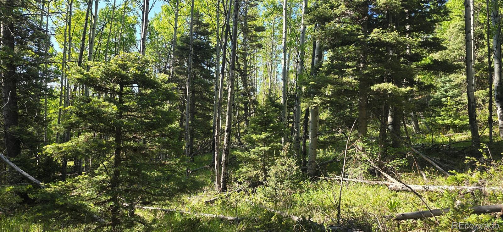 Lot 6385 Jaquez Road