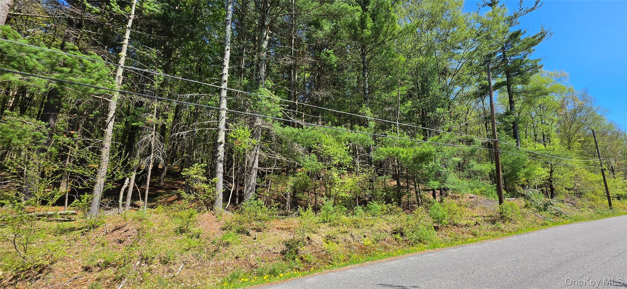 Hamilton Road