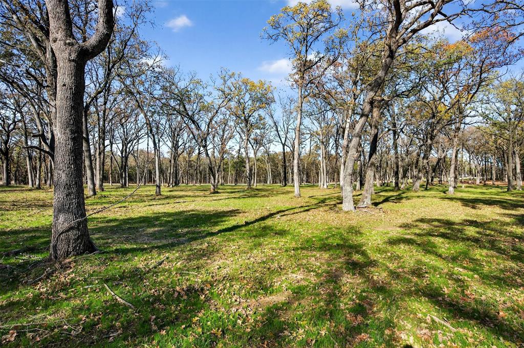 Lot 15 Buck Trail