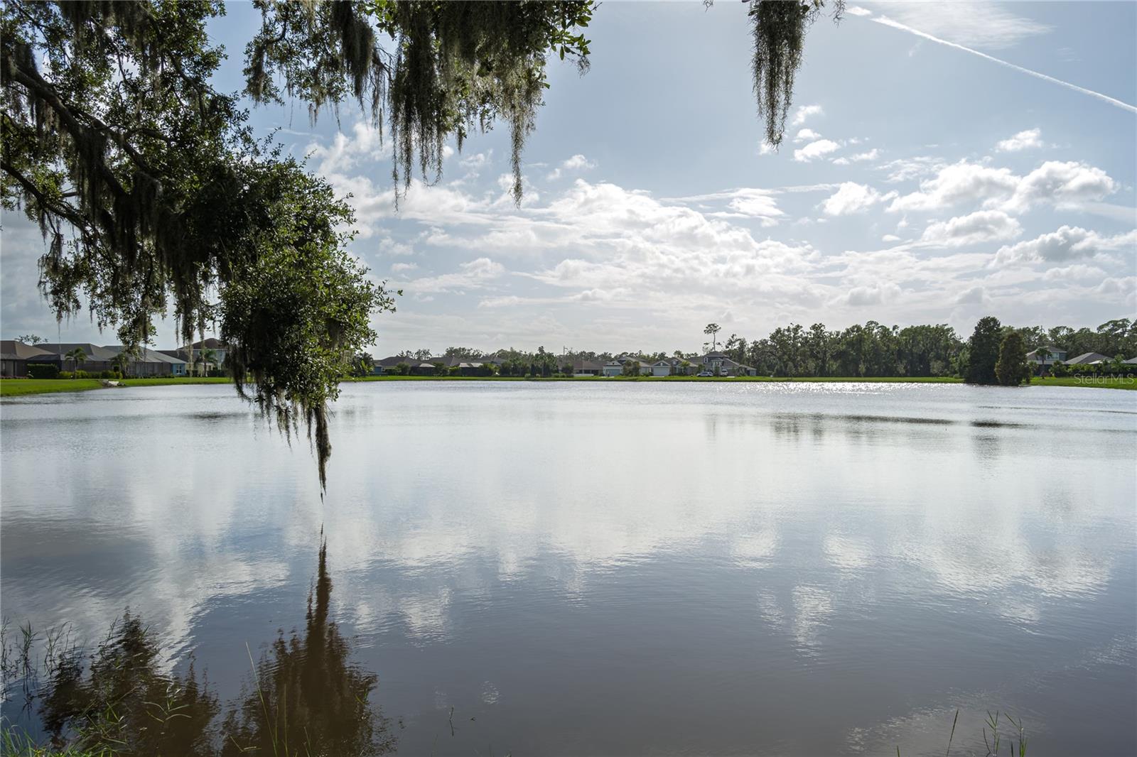 4446 Rustling Pines Terrace