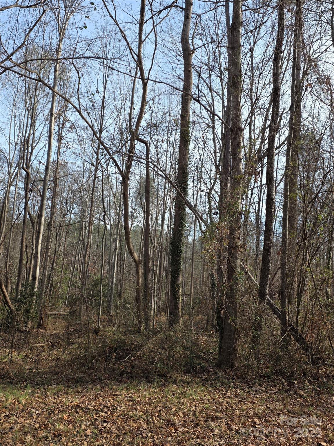 1919 Us 70 Highway E