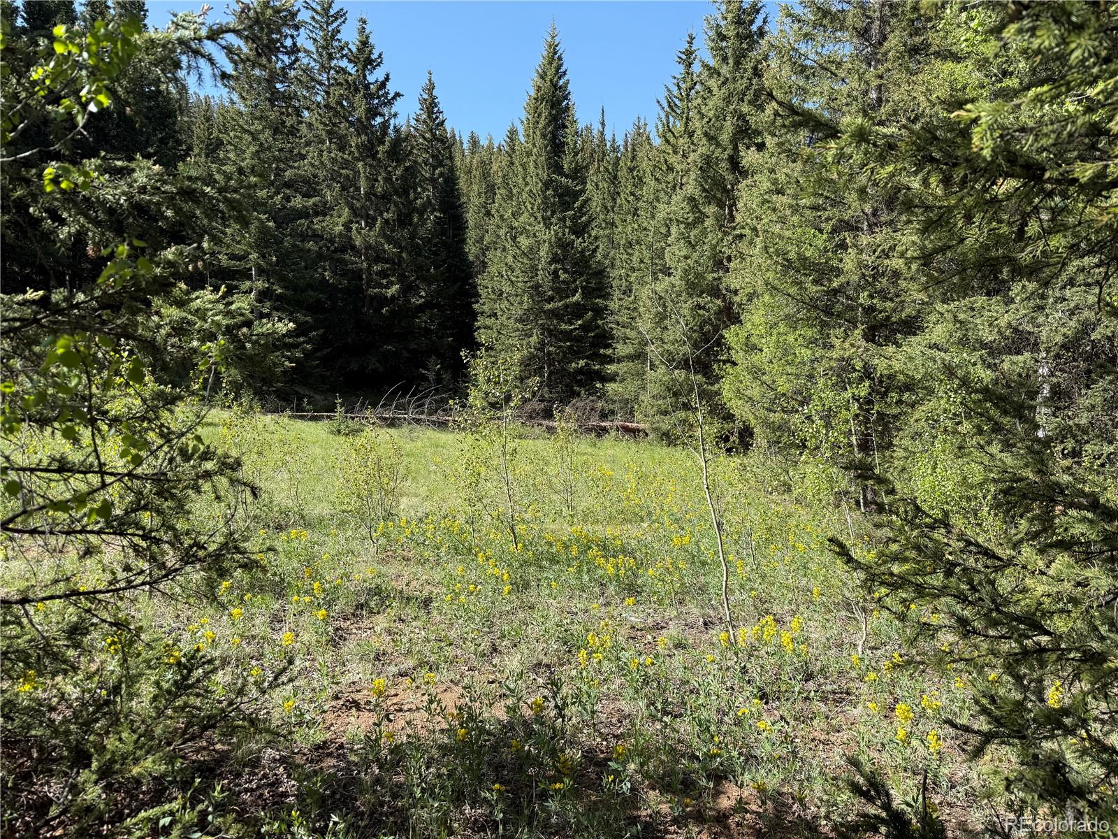 Lot 6843 Ryland Road