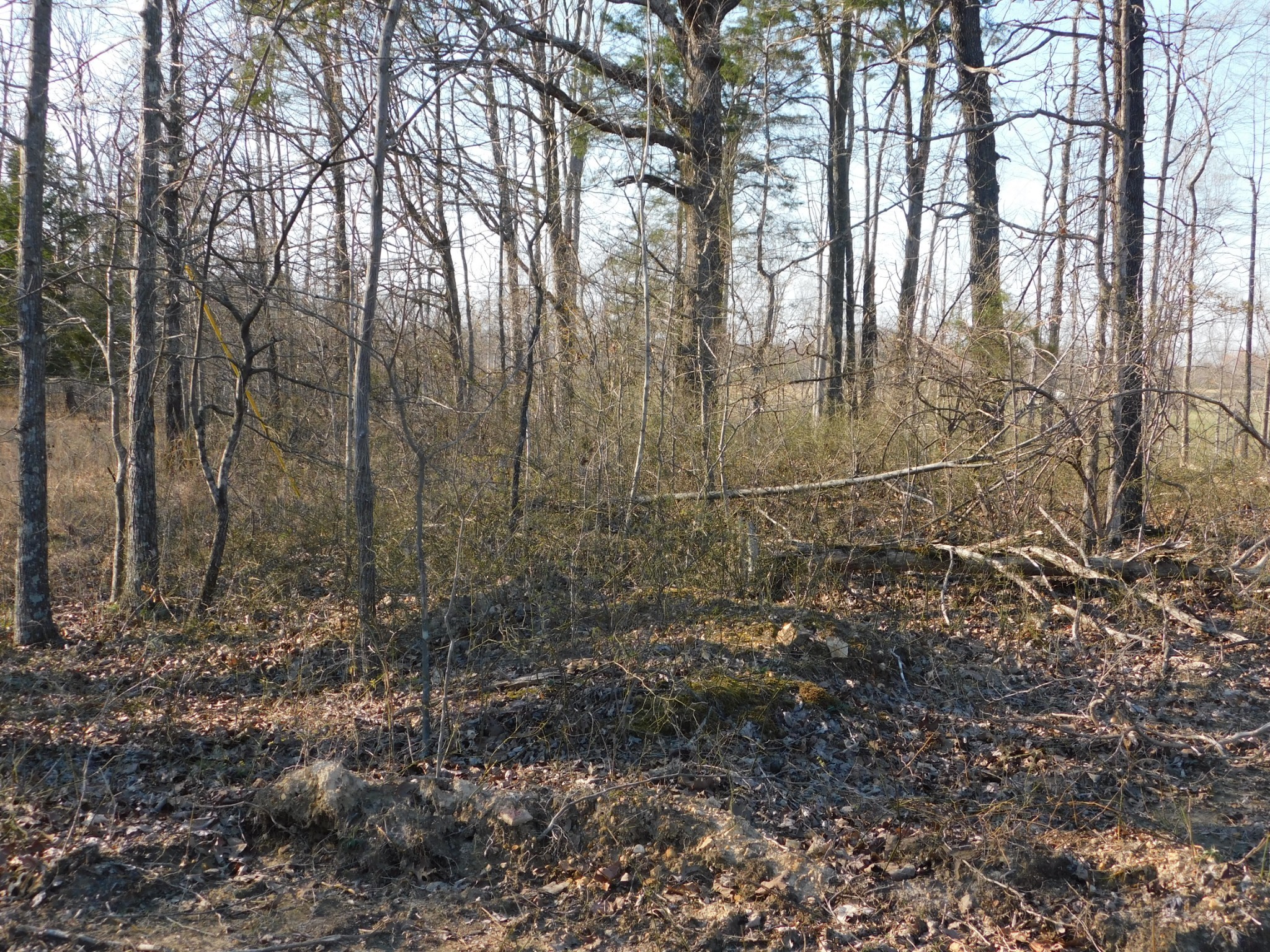 0 Lucas Ridge Road