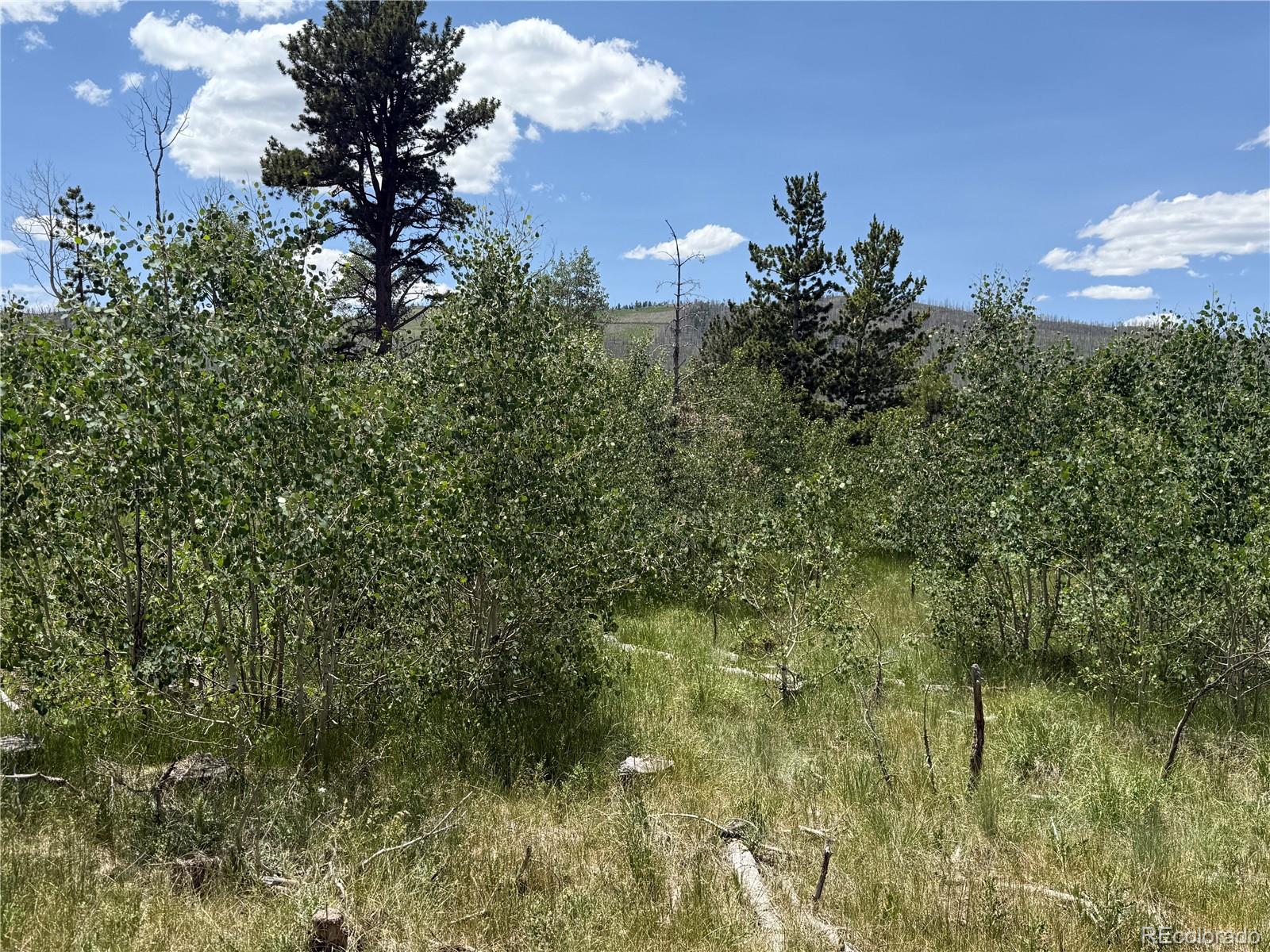 Lot 1103 Emery Loop