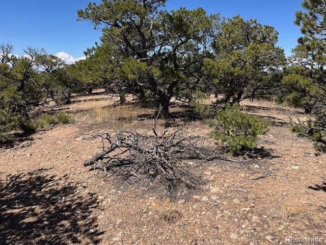 Lot 3306 Fontaine