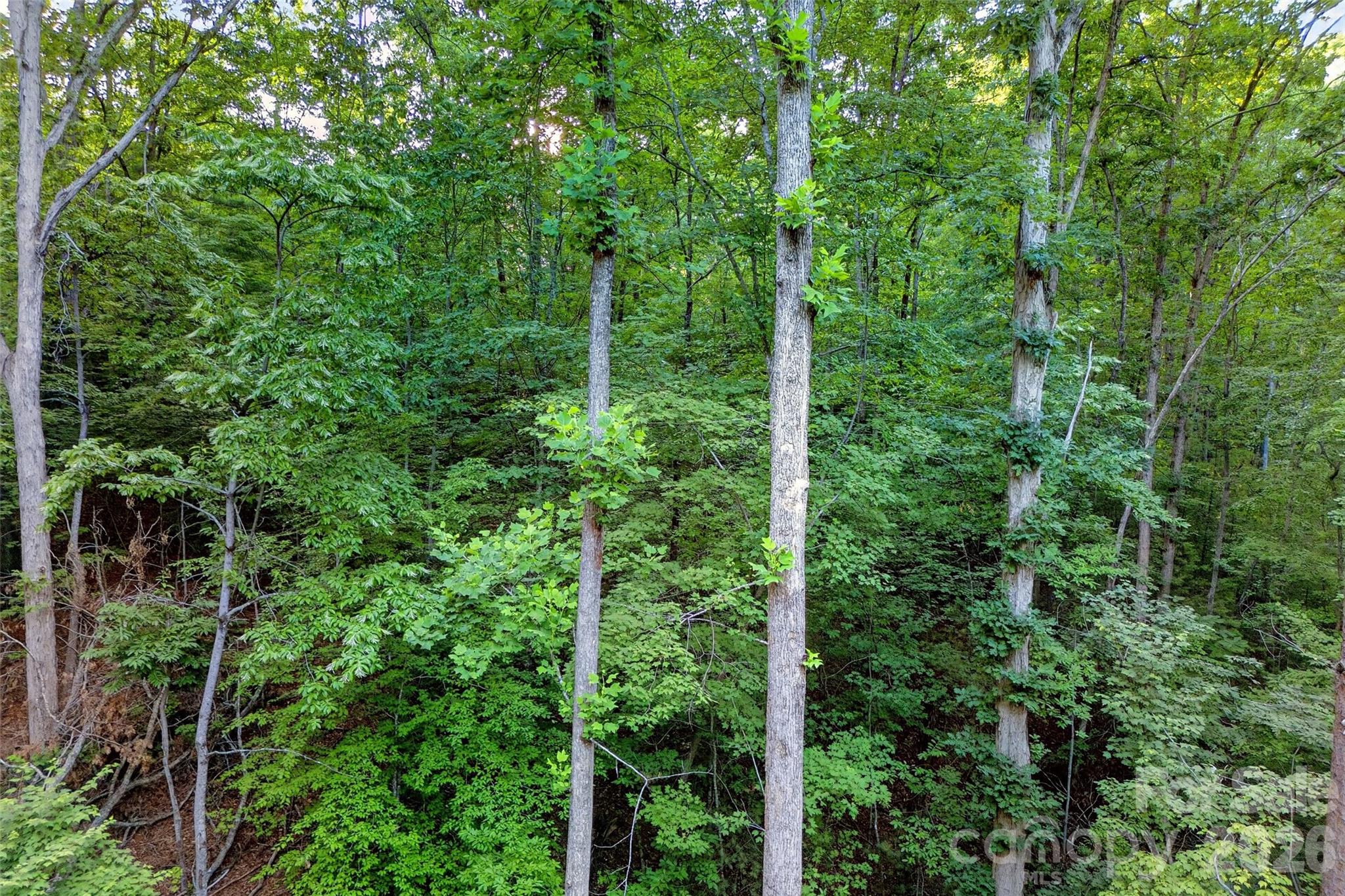 00 Yancey Road