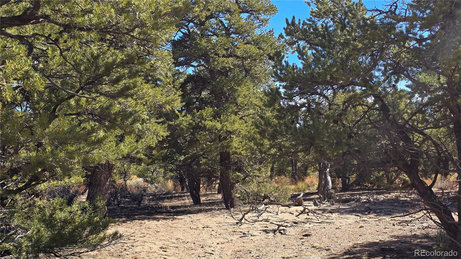 Lot 409 Williams Road