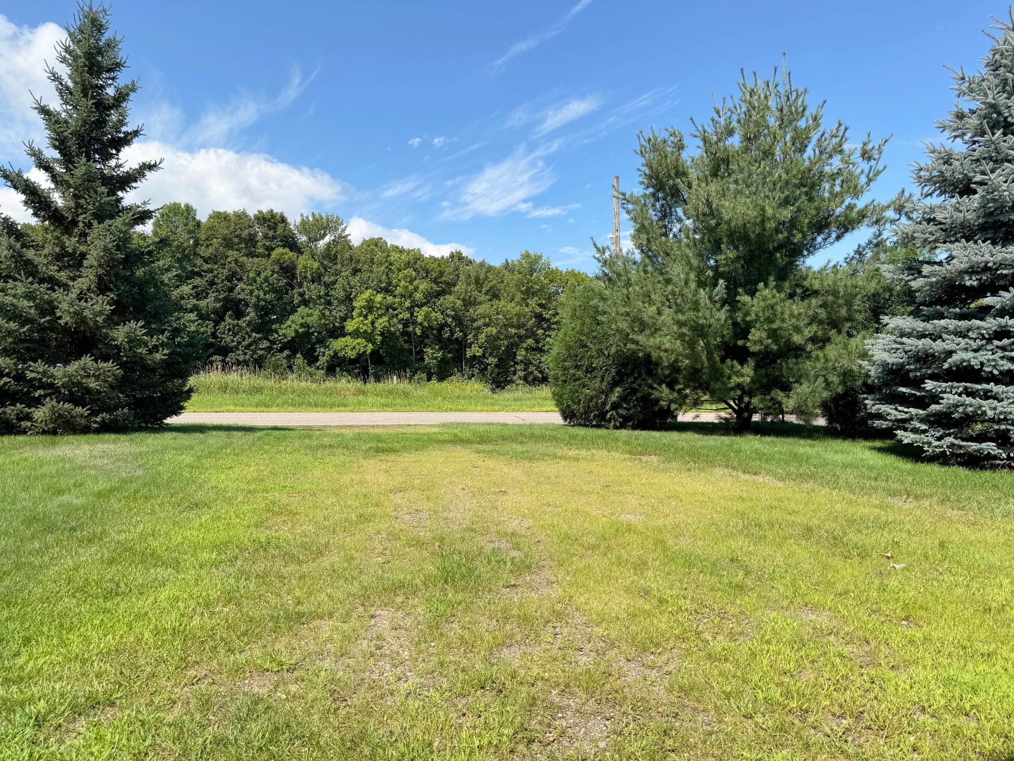 44205 Conifer Street