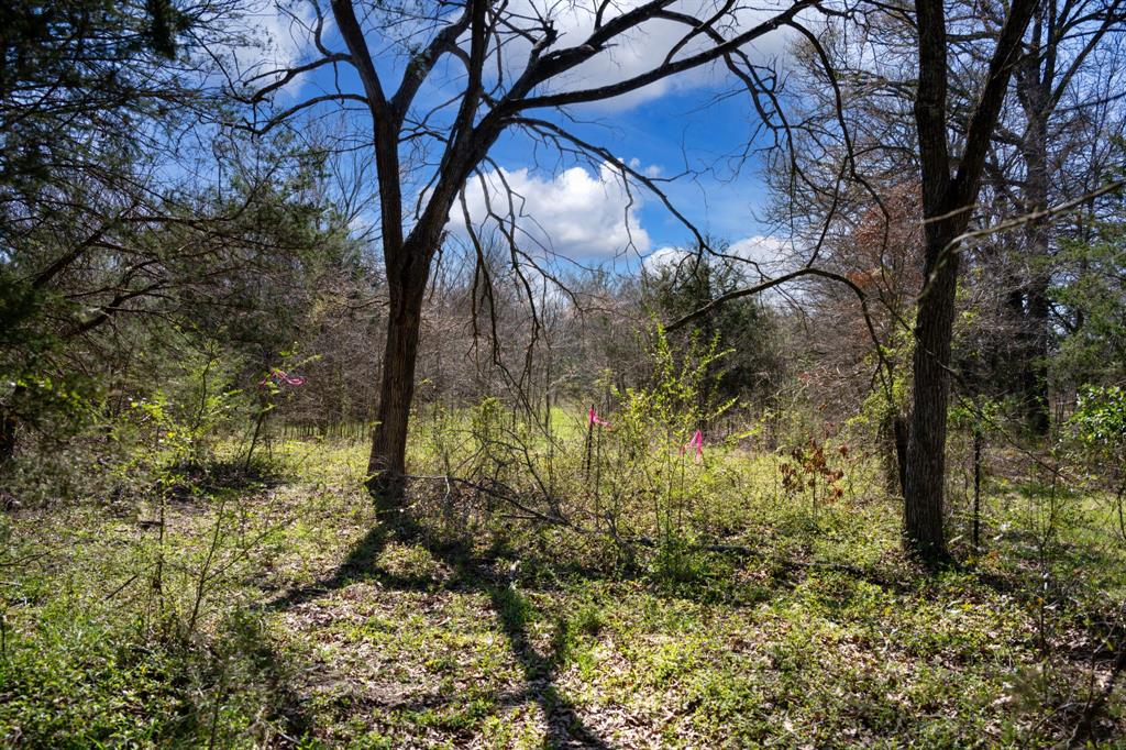 800 County Road 2390