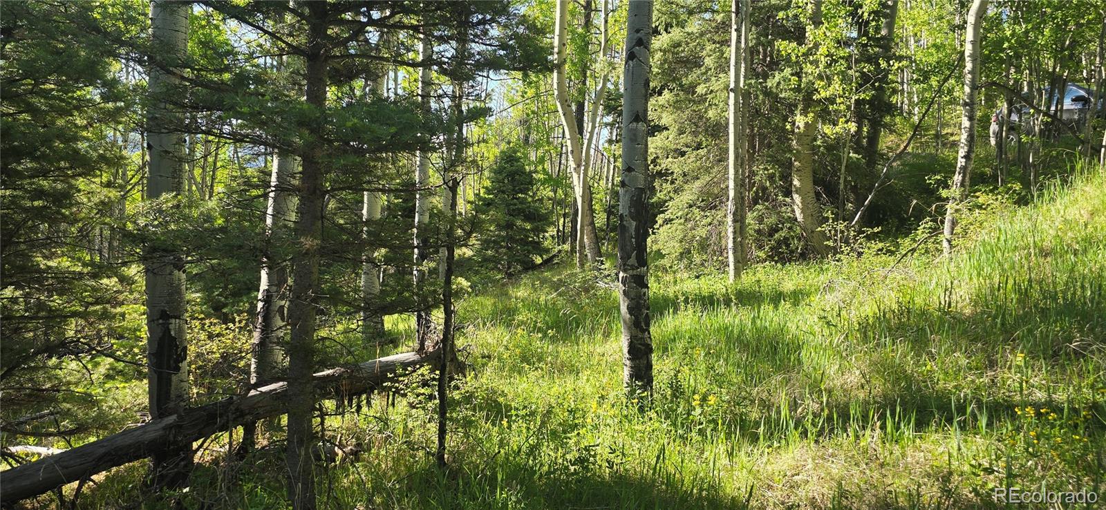 Lot 6385 Jaquez Road