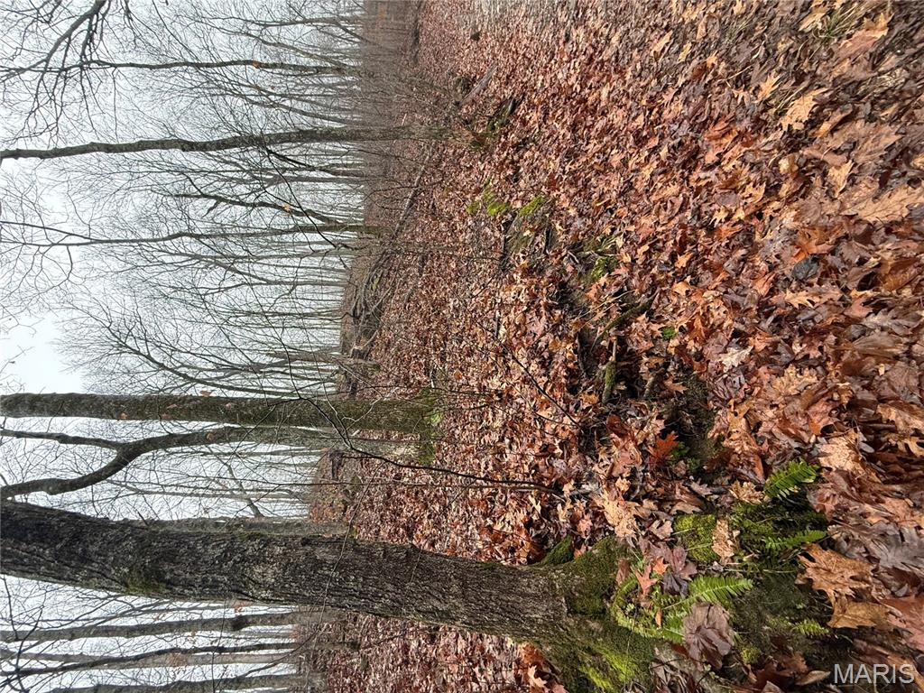 0 Peninsula Trail