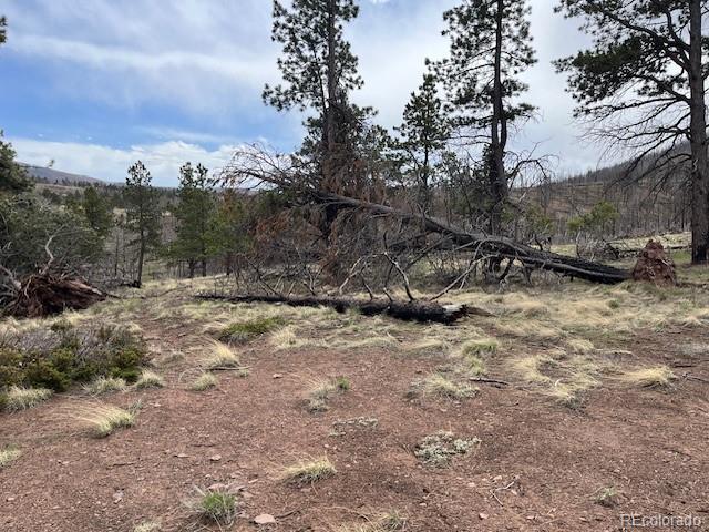 Lot 291 Dany Place