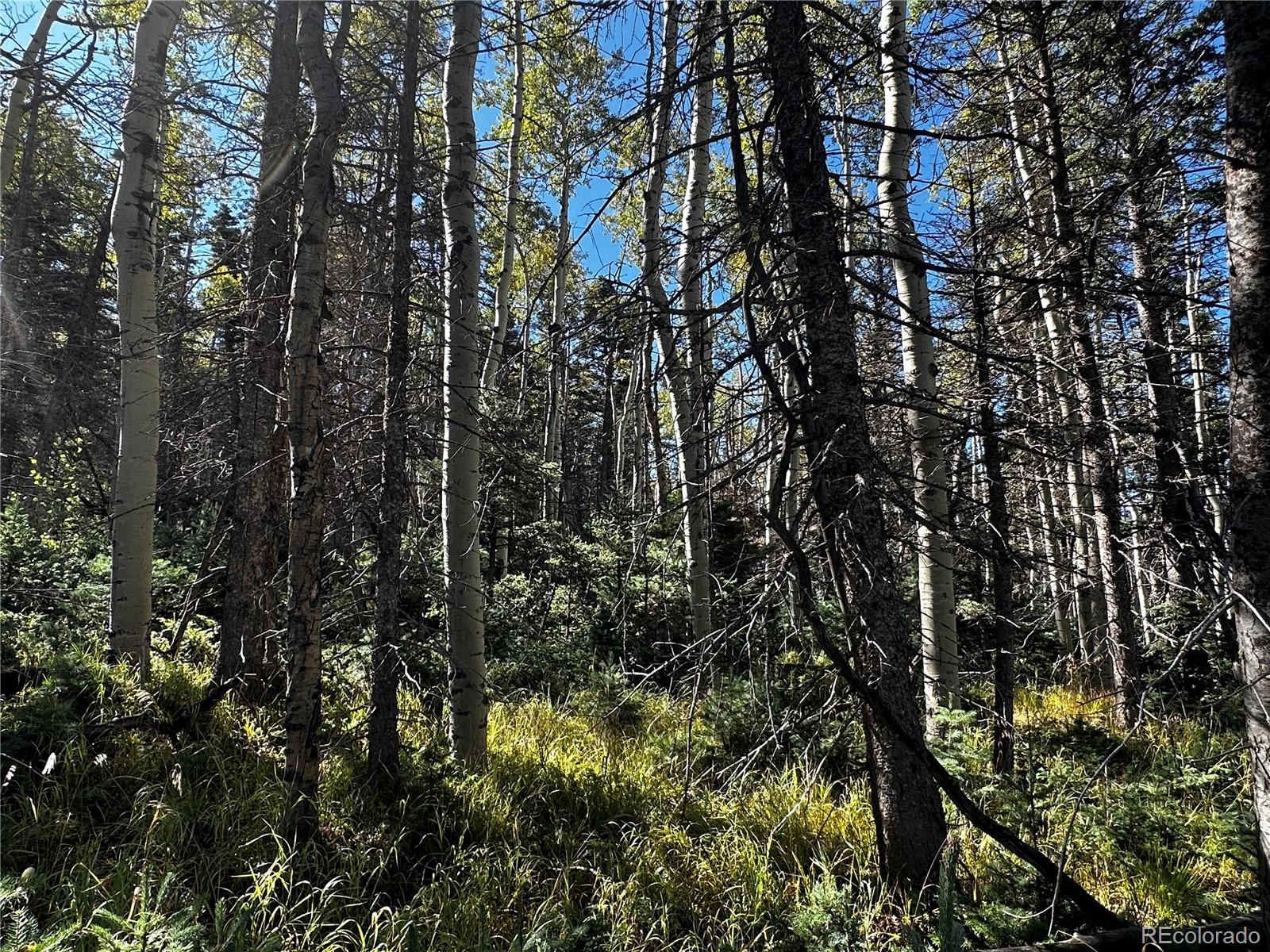 Lot 2652 Petito Drive