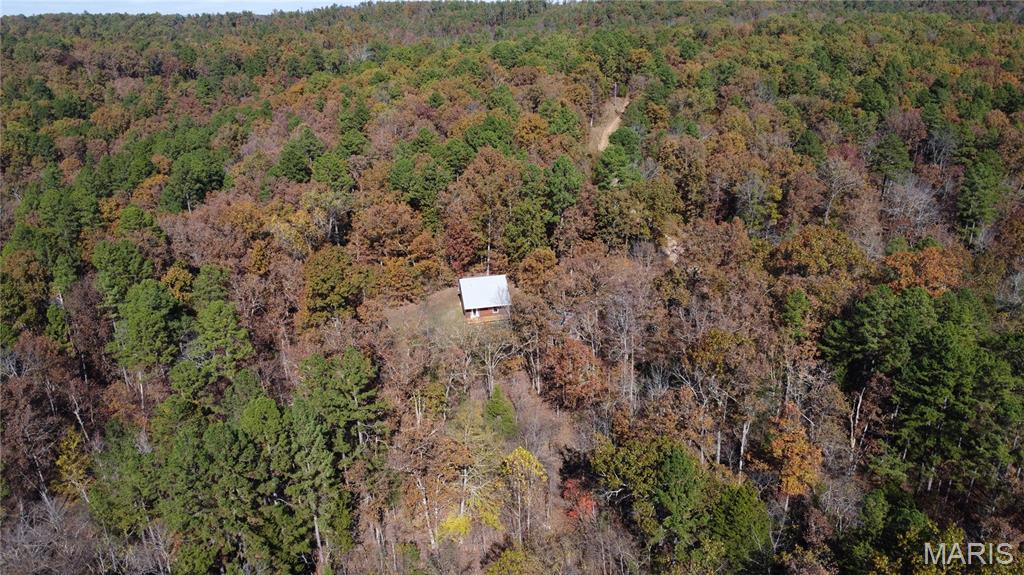 10256 Christina Trail