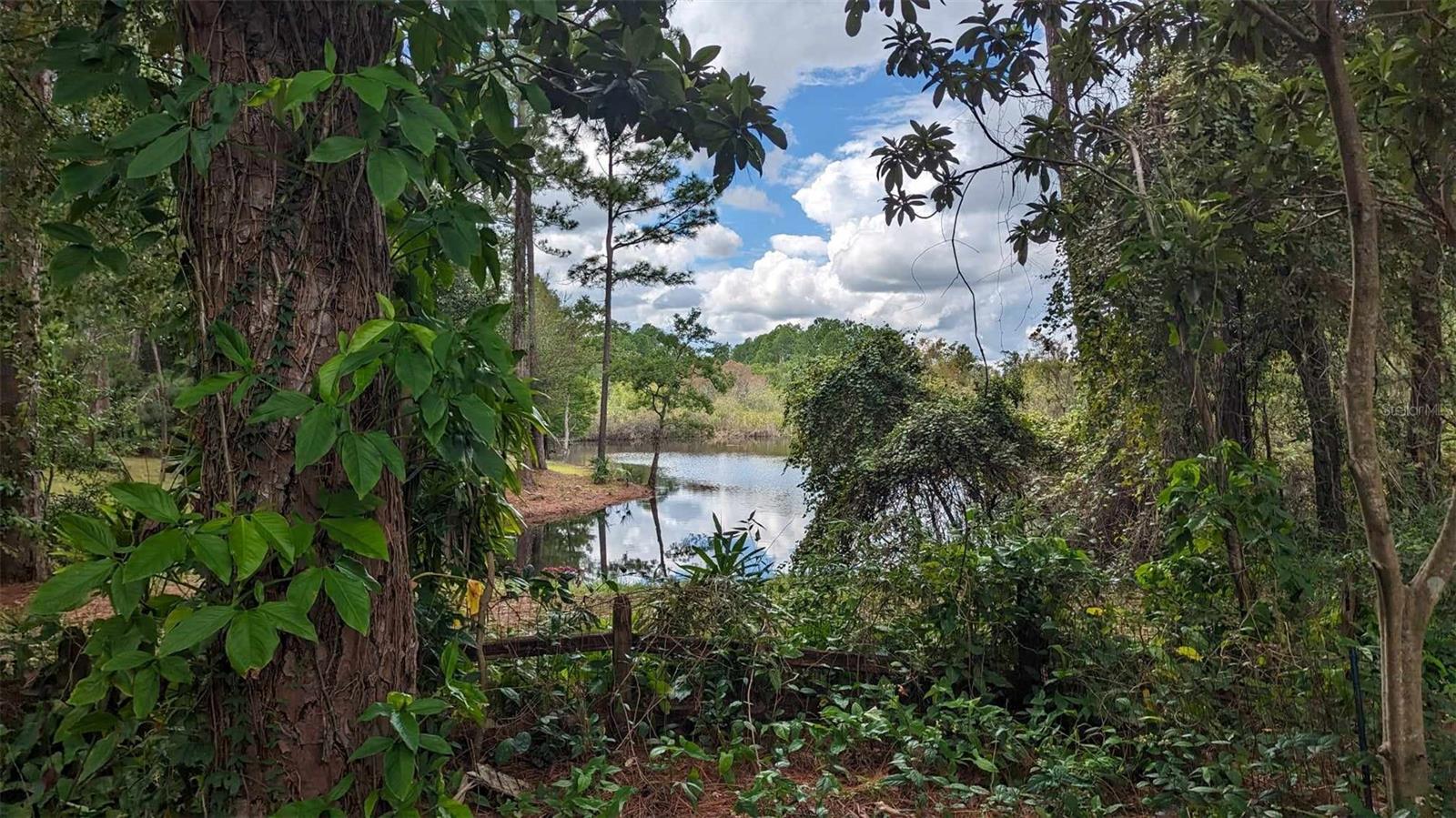268 Almyra Drive