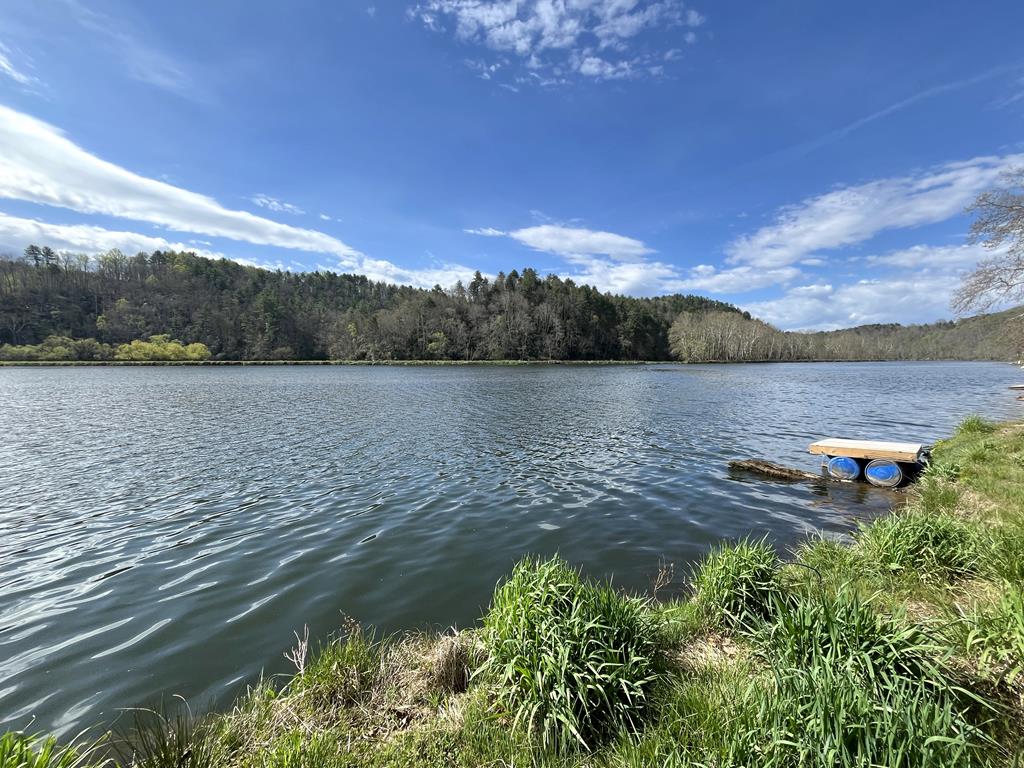 This recreational lot fronts on the New River just above the historic Fries dam! Features include road frontage on Scenic Road, approximately 50 feet of New River frontage, and a couple of shade trees to keep you cool this summer! Enjoy swimming and fishing this summer in the New River with close access to a public boat landing, the New River Trail, and downtown Fries amenities!