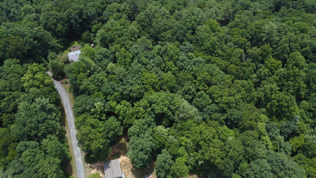 Great building lot in a private development with walking distance of the New River and short distance to public boat landing. Clearing out some trees on the back side and you have a view of Mount Rogers Mountains.  No HOA but does have a road maintenance.